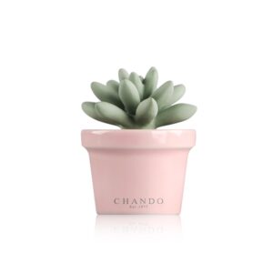 מפיץ ריח יוקרתי דגם Mini succulent