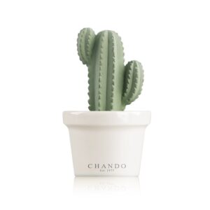 מפיץ ריח יוקרתי דגם mini succulent