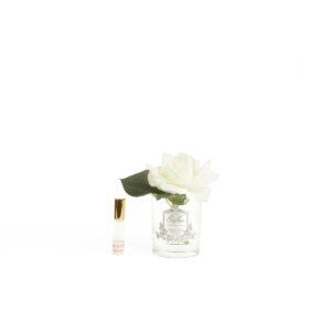מפיץ ריח SINGLE ROSE WHITE