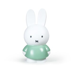 קופת חסכון גדולה מנטה MIFFY