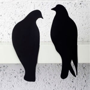 זוג יונים LOVE BIRDS Artori Design