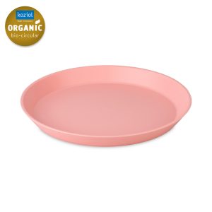 צלחת 21 ס"מ ורוד