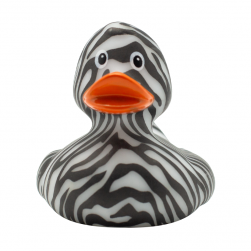 ברווז LIKE ZEBRA