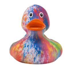 ברווז RAINBOW