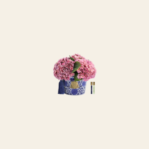 עציץ ORIENTAL HYDRANGEAS ורוד