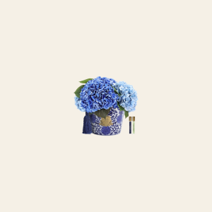 עציץ ORIENTAL HYDRANGEAS כחול