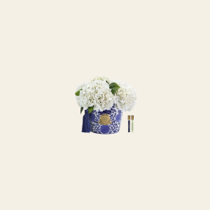 עציץ ORIENTAL HYDRANGEAS לבן