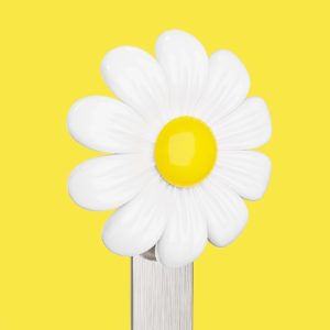 סימנייה DAISY